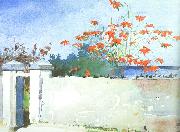 A Wall, Nassau, Winslow Homer